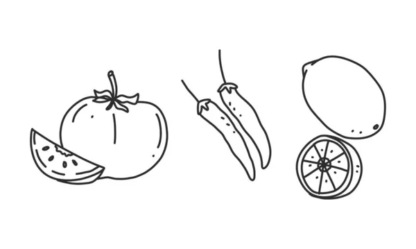 Une Illustration Dessinée Main Des Ingrédients Non Cuits Tomate Chili — Image vectorielle