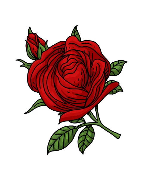 Een Prachtige Illustratie Van Een Rode Roos Een Bloeiende Roos — Stockvector