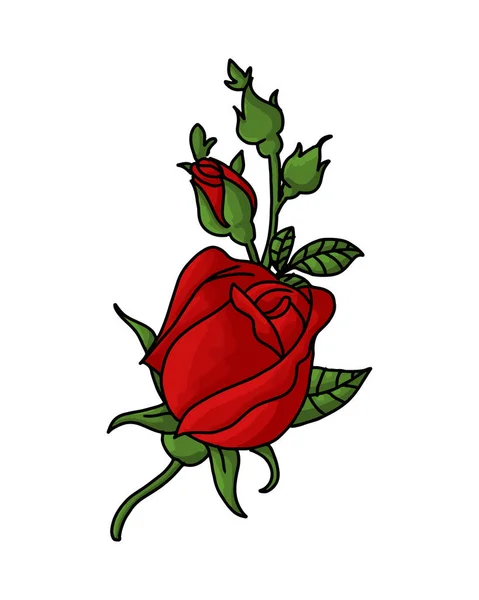 Beautiful Illustration Rosebuds Rosebuds Isolated White Element Design Vector Art — Stock Vector