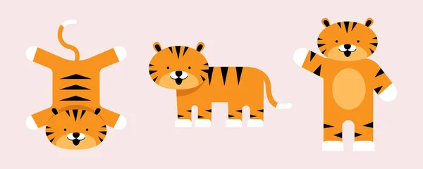 Ensemble Dessins Animés Tigre Différentes Poses Dessin Mignon Créature Sauvage — Image vectorielle