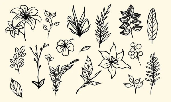 手描きの熱帯植物ベクトルコレクション ヴィンテージデザインのための葉と花の線形装飾のセット — ストックベクタ