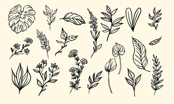 Conjunto Flores Hojas Dibujadas Mano Para Decoración Ilustración Vectores Lineales — Archivo Imágenes Vectoriales