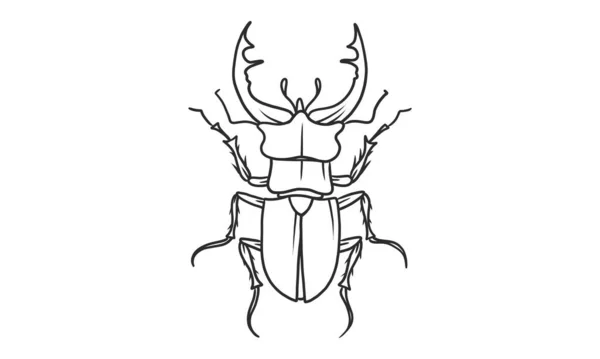 Vector Lineart Illustration Beetles White Background Hand Drawn Japanese Horned — Stock Vector