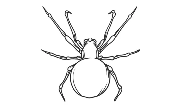 Ilustração Lineart Vetor Aranha Preta Fundo Branco Esboço Desenhado Mão — Vetor de Stock