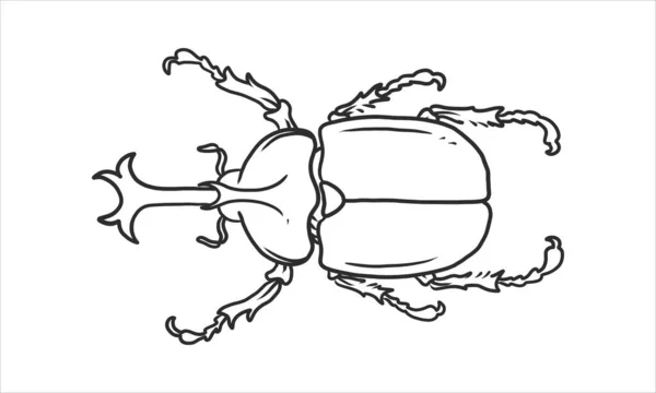 Jeden Ilustrace Brouka Ručně Kreslený Skicák Vektor Hmyzí Ilustrace Izolovaném — Stockový vektor
