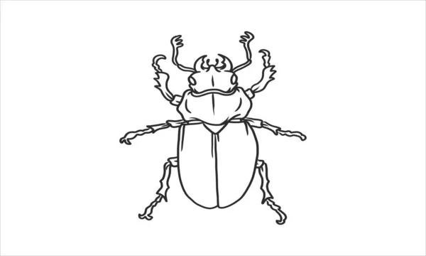 Una Sola Ilustración Escarabajo Dibujado Mano Bosquejo Vector Una Ilustración — Archivo Imágenes Vectoriales