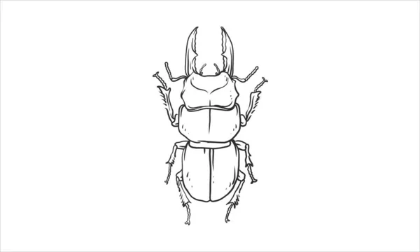 Vector Cosmic Low Poly Line Art With Insect Stock Illustration