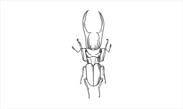 ビートルの手描きのスケッチベクトルのイラストです 隔離された背景の虫図です 昆虫の創造的な描画要素 — ストックベクタ