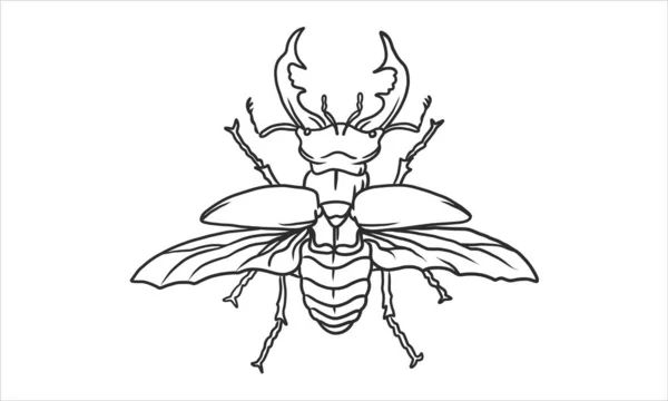 Conjunto Ilustración Vectorial Escarabajo Alado Una Mano Dibujada Insectos Sobre — Vector de stock