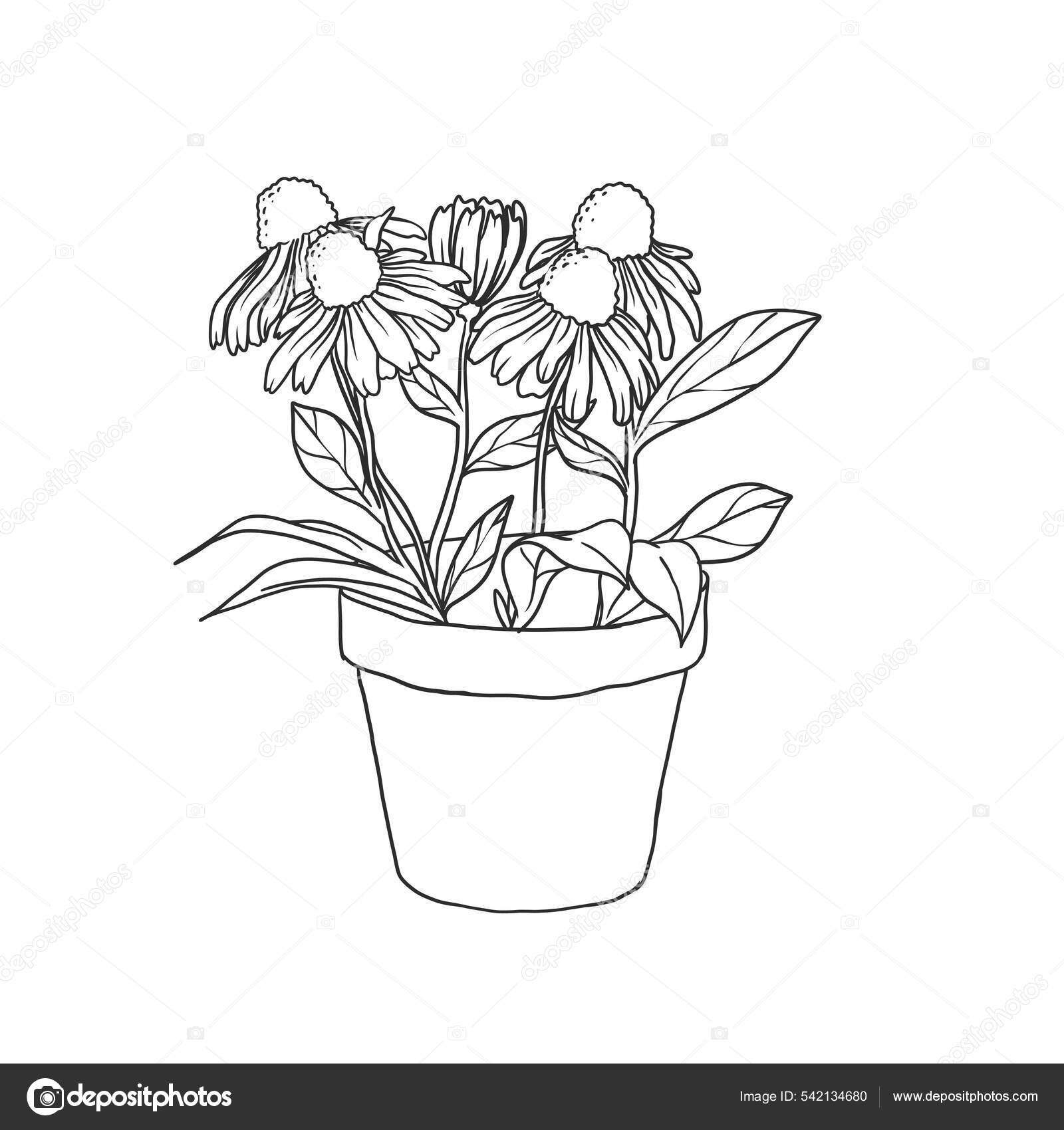 Flower Pot Drawing Stock Photos - 92,976 Images | Shutterstock