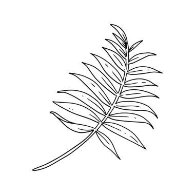 Süslü çiçek çizgilerde çizimler bırakır. düğün davetiyeleri, kartlar ve çiçek temasındaki herhangi bir tasarım için elde çizilmiş renksiz öge.