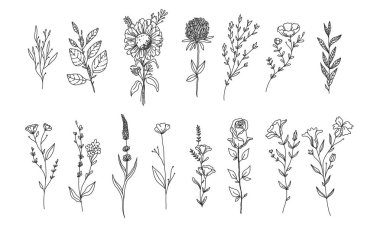 Tasarımınız için çiçek elementleri, nadir bulunan ve korunan çiçekler, bitki çizimi çizimleri