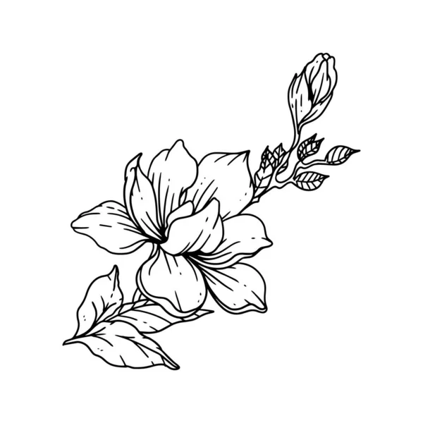 Egy Gyönyörű Virág Illusztrált Körvonalazott Stílusban Virág Kézzel Rajzolt Illusztráció — Stock Vector