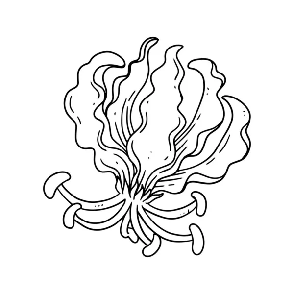 Eine Schöne Blume Die Umrissstil Illustriert Wurde Blumenhandgezeichnete Illustrationssammlung Für — Stockvektor