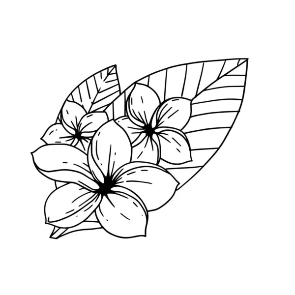 Adénium Illustré Dans Style Contour Fleur Dessin Main Collection Illustration — Image vectorielle