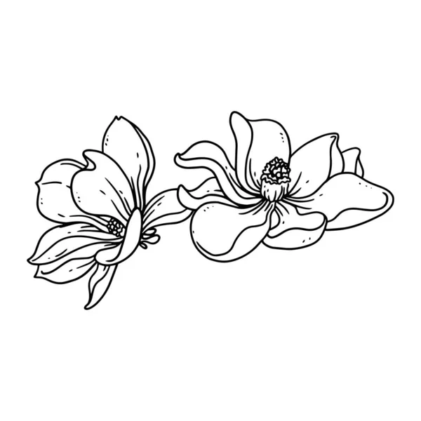 Uma Bela Flor Ilustrada Estilo Esboço Flor Mão Desenhada Coleção —  Vetores de Stock