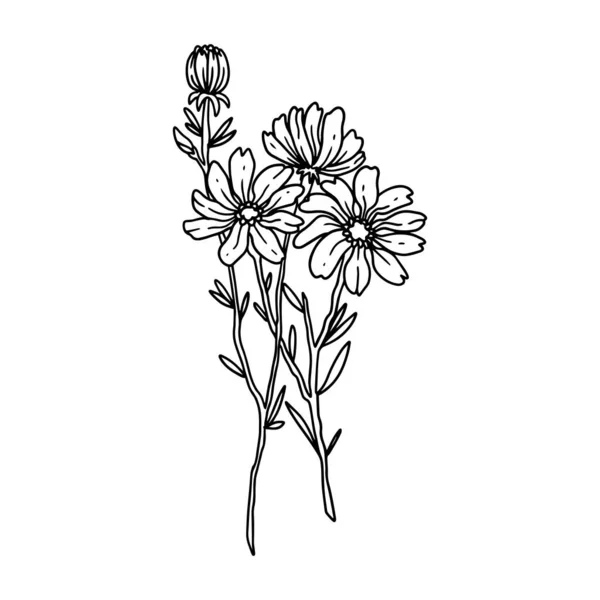 Ένα Όμορφο Λουλούδι Απεικονίζεται Περίγραμμα Στυλ Λουλούδι Ζωγραφισμένα Στο Χέρι — Διανυσματικό Αρχείο