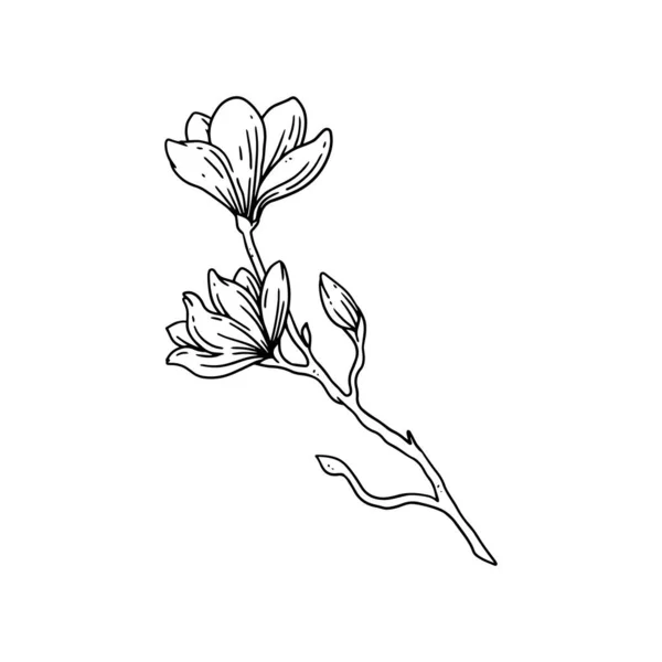 Красива Квітка Ілюстрована Контурному Стилі Квіткова Рука Намальована Колекція Ілюстрацій — стоковий вектор