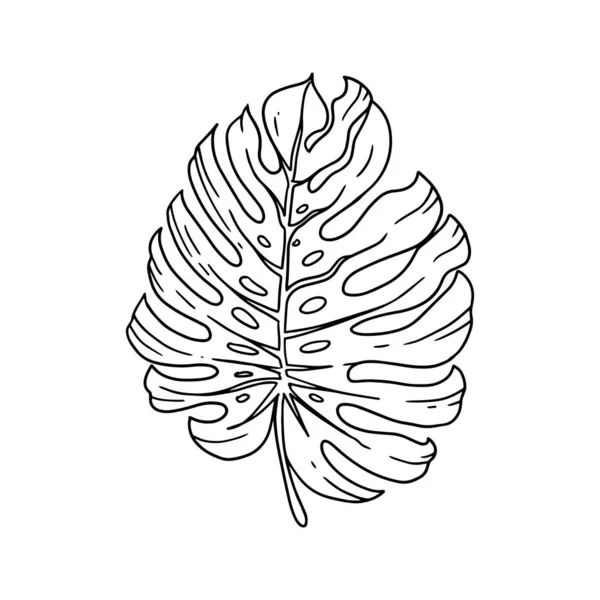 삽화를 수있을 것입니다 손으로 장식용 식물의 꽃들의 디자인에도 아름다운 있습니다 — 스톡 벡터