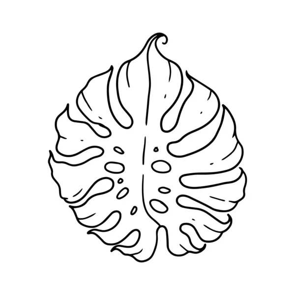 Die Umrissene Illustration Des Monstera Blattes Dekoratives Element Der Dekorativen — Stockvektor