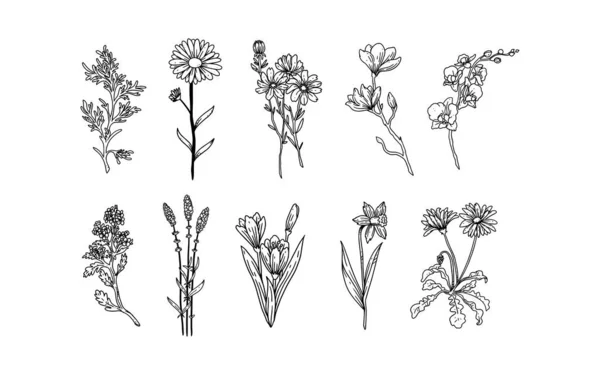 Σετ Από Χειροποίητα Floral Στοιχεία Για Σχεδιασμό Φύλλα Και Λουλούδια — Διανυσματικό Αρχείο