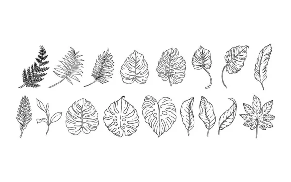 Jeu Éléments Floraux Dessinés Main Pour Votre Design Illustration Feuilles — Image vectorielle