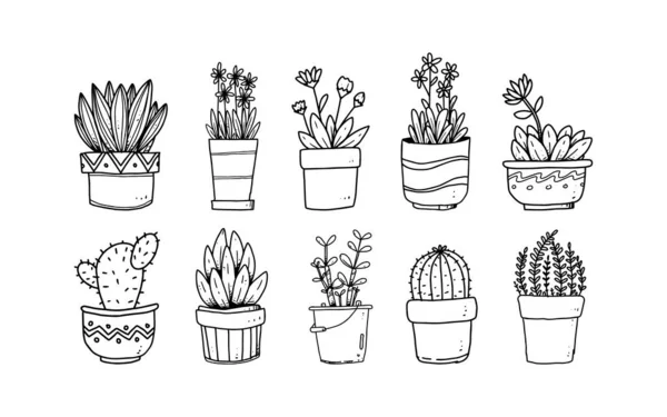 Set Von Handgezeichneten Blumen Töpfen Illustration Pflanzen Isolierte Grafische Elemente — Stockvektor