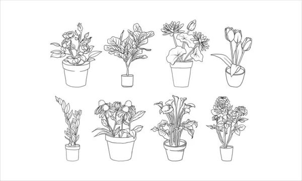 手は装飾のための鍋に美しい花と植物を描きました — ストックベクタ