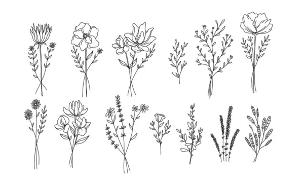 あなたのデザインのための花の要素のセット 珍しいと保護された花 植物の線形イラスト — ストックベクタ