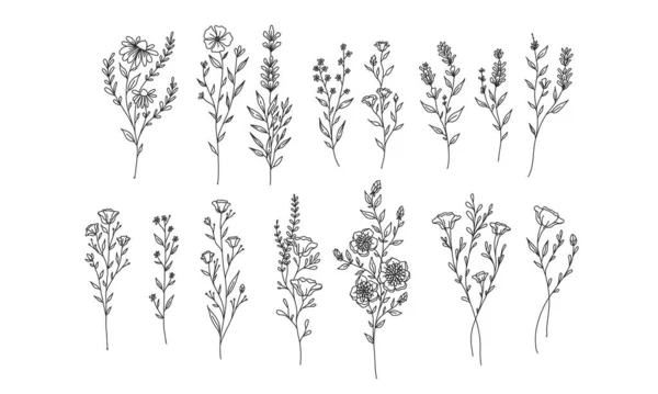 Conjunto Elementos Florales Para Diseño Flores Raras Protegidas Ilustración Lineart — Archivo Imágenes Vectoriales