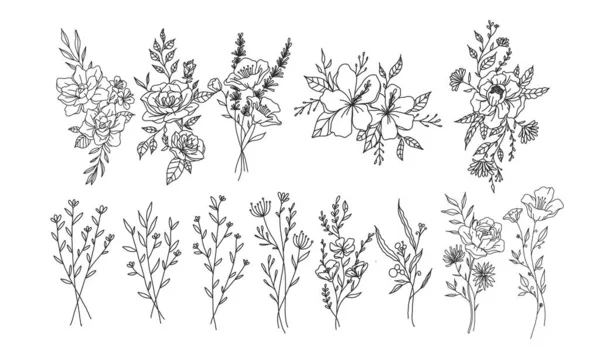 成套花卉元素为您的设计 稀有和受保护的花 植物线路图 — 图库矢量图片
