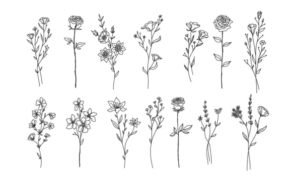 Conjunto Elementos Florales Para Diseño Flores Raras Protegidas Ilustración Lineart — Archivo Imágenes Vectoriales