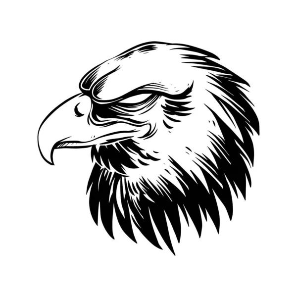 Una Amenazante Cara Águila Alerta Una Ilustración Dibujada Mano Una — Vector de stock