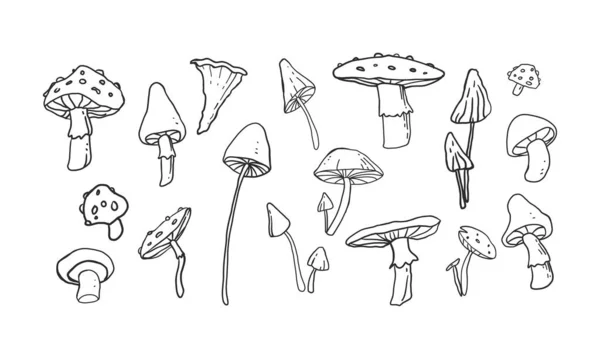 Diverses Collections Illustrations Champignons Dans Art Linéaire Dessin Animé Doodle — Image vectorielle