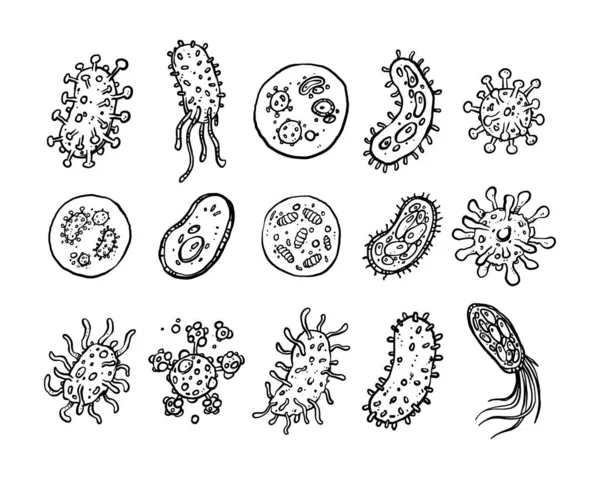 単純な15個のウイルスハンド描画ベクトルのセット 手描き線画漫画イラスト 白の背景に独立したアイコン — ストックベクタ