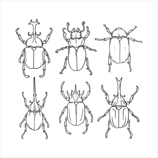 カブトムシの手描きスケッチベクトルのセット 隔離された背景に様々なカブトムシのイラスト 昆虫の創造的な描画要素 — ストックベクタ