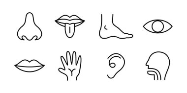 İnsan organ ikonu çizimi. Basit iç organlar ile ilgili vektör çizgisi simgeleri