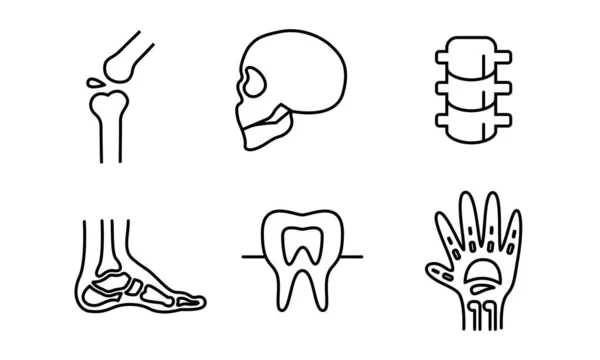 Desenho Ilustração Ícone Órgão Humano Ícones Linha Vetorial Relacionados Órgãos — Vetor de Stock