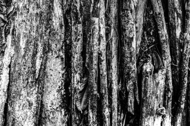 Arkaplan için soyut kaba doku. Duvar kağıdı tasarımı için kirli grunge dokusu