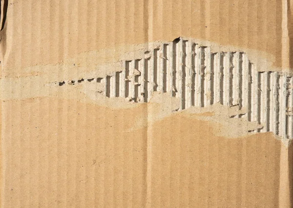 Doku arkaplanı için sökülmüş karton. Kağıt yüzeyler tasarım şablonları için dağınık bir şekilde yırtılmış