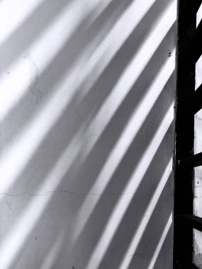 Beyaz duvardaki gölge. Arkaplan için doğal ışık örtüsü. 