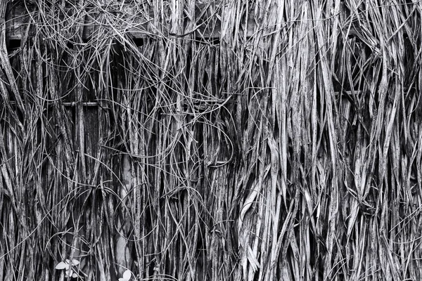 Antecedentes Pilhas Grama Feno Seco Para Tema Agricultura Textura Palha — Fotografia de Stock