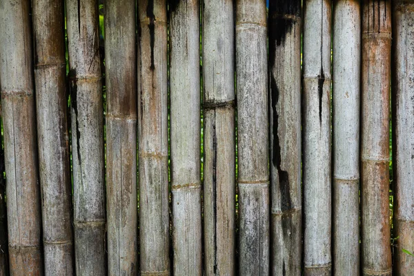 Superficie Della Parete Bambù Sfondo Vecchio Bambù Essiccato Con Una — Foto Stock