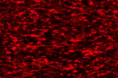 Soyut renk arkaplanı. Renk illüstrasyonu.