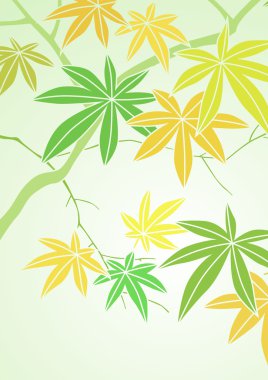 Grafik deseni