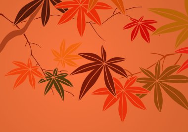Grafik deseni