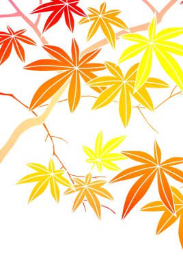 Grafik deseni