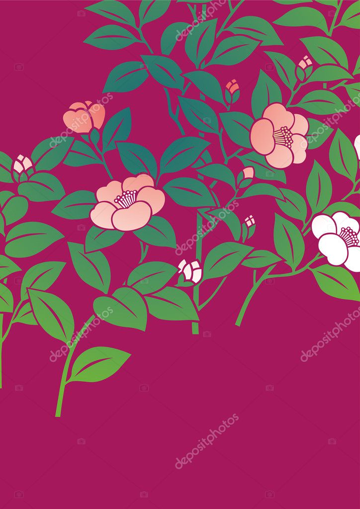 椿ストックベクター ロイヤリティフリー椿イラスト Depositphotos