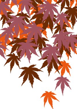 Grafik deseni