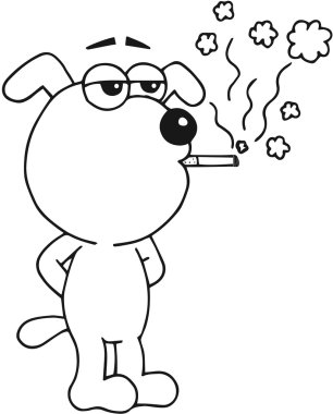 köpek yasaktır